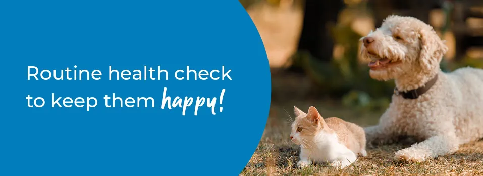 Annual Pet Health Checks | Palmerston Vets Essex