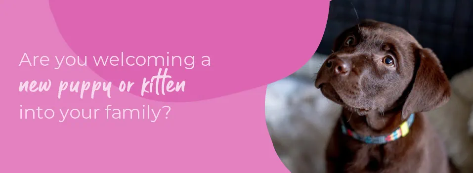 Welcoming your new puppy or kitten