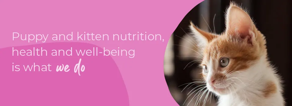 Welcoming your new puppy or kitten