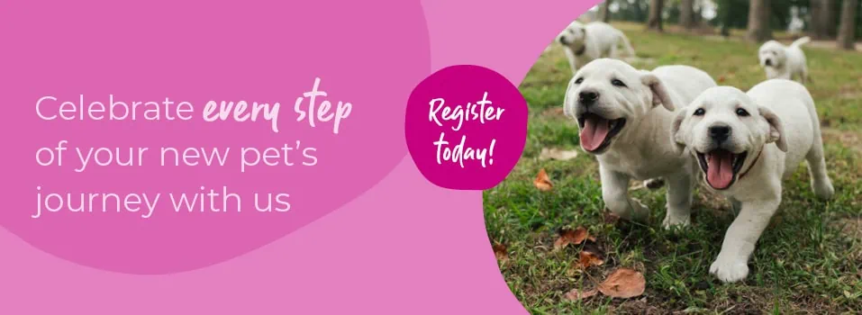 Welcoming your new puppy or kitten