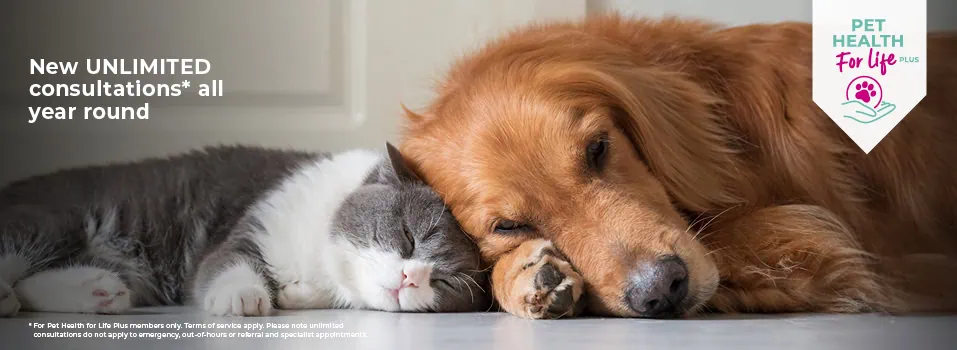 Palmerston Vets Pet Health for Life Plan